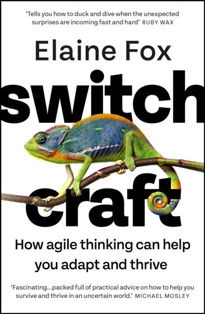 Switchcraft - How Agile Thinking Can Help You Adapt and Thrive (Fox Elaine)(Paperback / softback)
