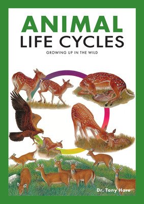Animal Life Cycles: Discovering How Animals Live in the Wild (Hare Tony)(Paperback)