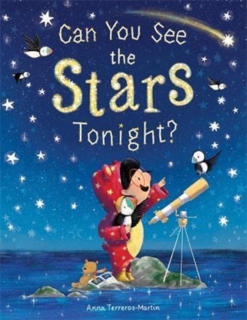 Can You See the Stars Tonight? (Terreros-Martin Anna)(Paperback / softback)