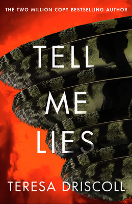 Tell Me Lies (Driscoll Teresa)(Paperback)