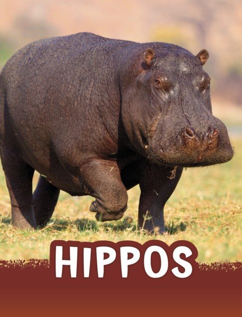 Hippos (Jaycox Jaclyn)(Paperback / softback)