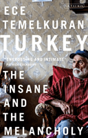 Turkey - The Insane and the Melancholy (Ece Temelkuran Temelkuran)(Paperback)