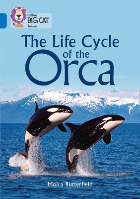 Collins Big Cat - The Life Cycle of the Orca: Band 16/Sapphire (Butterfield Moira)(Paperback)