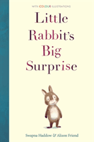 Little Rabbit's Big Surprise (Haddow Swapna)(Paperback / softback)