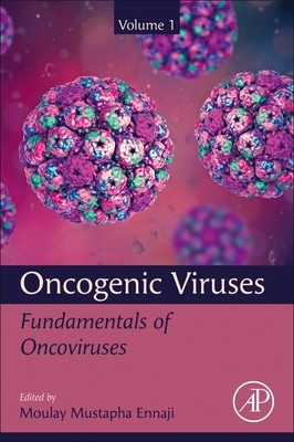 Oncogenic Viruses Volume 1: Fundamentals of Oncoviruses (Ennaji Moulay Mustapha)(Paperback)