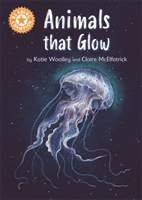 Reading Champion: Animals that Glow - Independent Reading Orange 6 Non-fiction (Woolley Katie)(Paperback / softback)