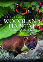 The Secret Life of a Woodland Habitat: Life Through the Seasons (Valerie Harmsworth Chlo)(Pevná vazba)