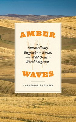 Amber Waves: The Extraordinary Biography of Wheat, from Wild Grass to World Megacrop (Zabinski Catherine)(Paperback)