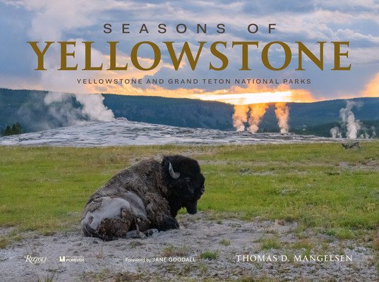Seasons of Yellowstone: Yellowstone and Grand Teton National Parks (Mangelsen Thomas D.)(Pevná vazba)