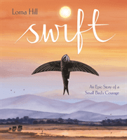 Swift - An Epic Story of a Small Bird's Courage (Hill Lorna)(Paperback / softback)