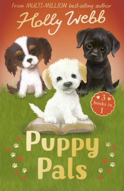 Puppy Pals - The Story Puppy, The Seaside Puppy, Monty the Sad Puppy (Webb Holly)(Paperback / softback)