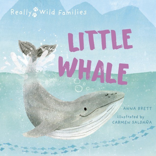 Little Whale - A Day in the Life of a Whale Calf (Brett Anna)(Pevná vazba)