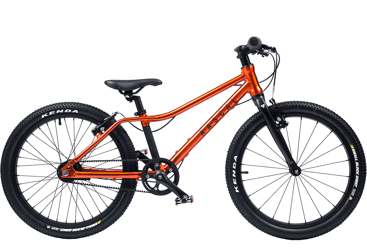 Rascal Bikes Dětské kolo Rascal 20 - 3sp Sturmey Archer Barevná kombinace: oranžové