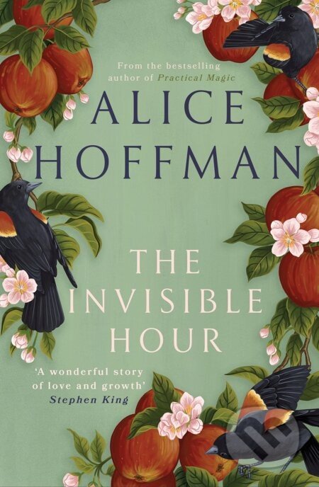 The Invisible Hour - Alice Hoffman
