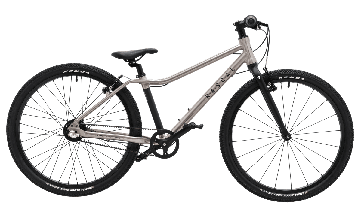 Rascal Bikes Kolo dětské Rascal 24 - 3sp Nexus Barevná kombinace: titan