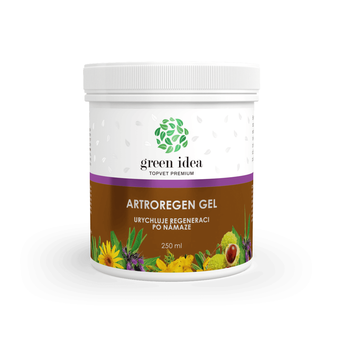 GREEN IDEA Artroregen masážní gel 250 ml