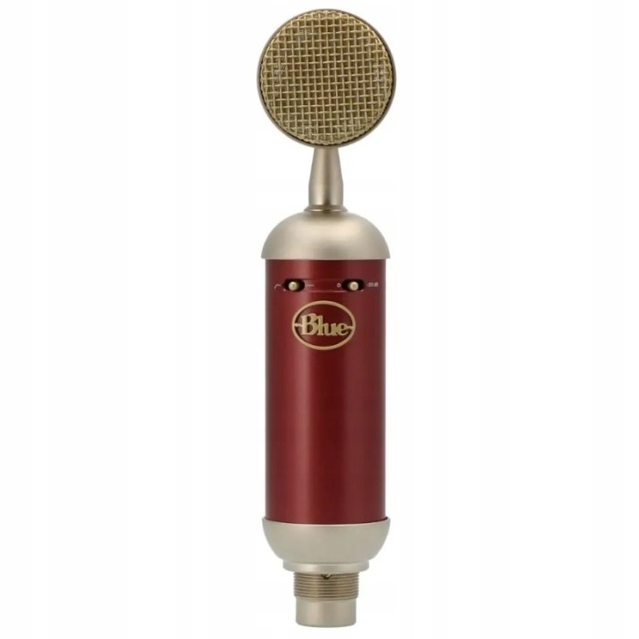 Kapacitní mikrofon Blue Microphones Spark Sl