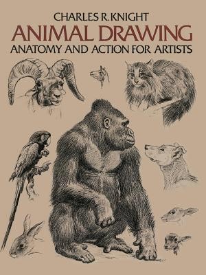 Animal Drawing: Anatomy and Action for Artists (Knight Charles)(Paperback)