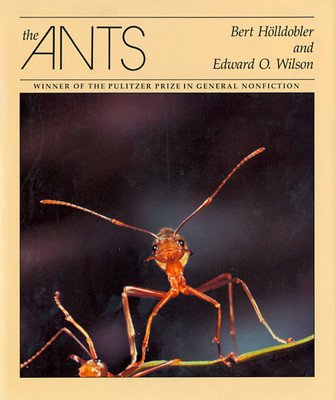 The Ants (Hlldobler Bert)(Pevná vazba)