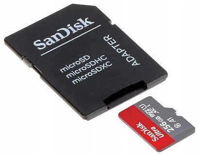 SD-MICRO-10/256-SANDISK microSD Uhs-