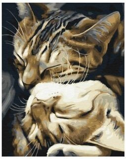 Symag Obraz Paint it! Malování podle čísel - Spící kočky