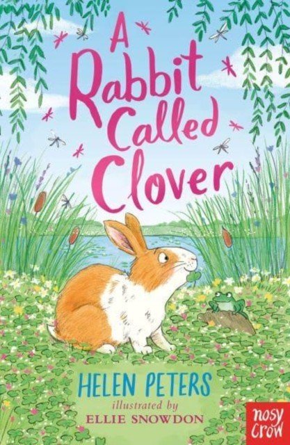 Rabbit Called Clover (Peters Helen)(Paperback / softback)