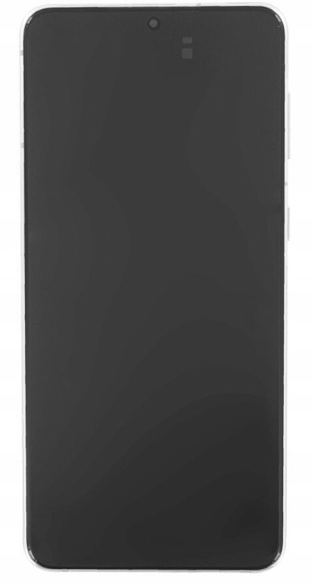 LCD displej pro Samsung Galaxy S21 Plus 5G