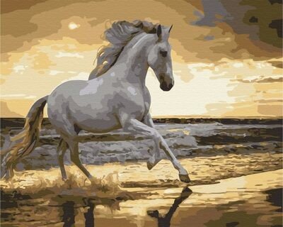 Symag Obraz Paint it! Malování podle čísel - Kůň na pobřeží