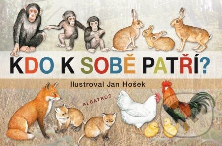 Kdo k sobě patří - Jana Mikulecká, Jan Hošek (ilustrátor)