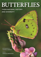 Butterflies: Their Natural History and Diversity (Orenstein Ronald)(Paperback)