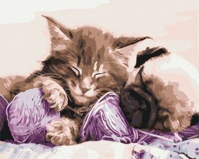 Symag Obraz Paint it! Malování podle čísel - Kočka a pes