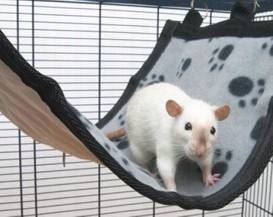 Savic Houpací síť pro hlodavce Relax De Luxe Medium