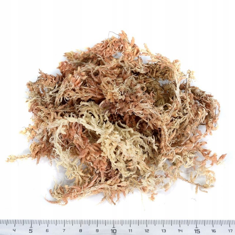 Mech Rašelinový Sphagnum Zakořenění rostlin 4,5kg