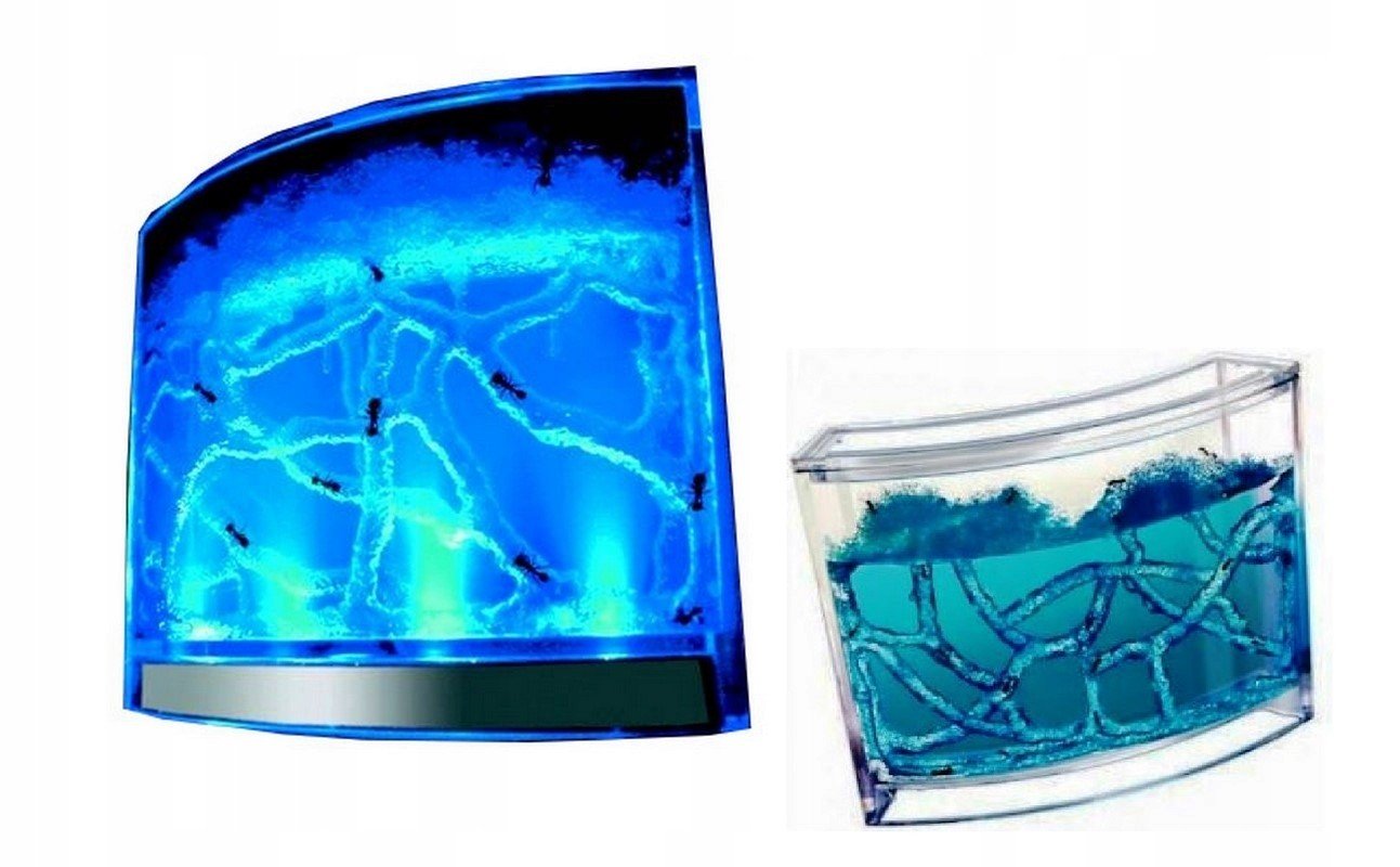 Akwarium Pro Mrówek Led Usb Mrówkarium ferma gel