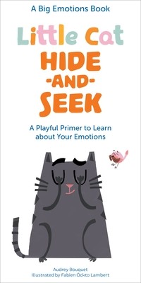 Little Cat Hide-And-Seek Emotions: A Playful Primer to Learn about Your Feelings (Bouquet Audrey)(Board Books)