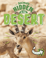Animals Hidden in the Desert (Rusick Jessica)(Pevná vazba)
