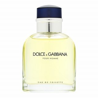 Dolce & Gabbana Pour Homme toaletní voda pro muže 75 ml