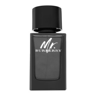 Burberry Mr. Burberry parfémovaná voda pro muže 100 ml