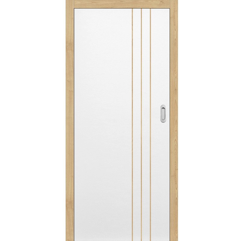 Posuvné dveře do pouzdra INTERSIE LUX DUB