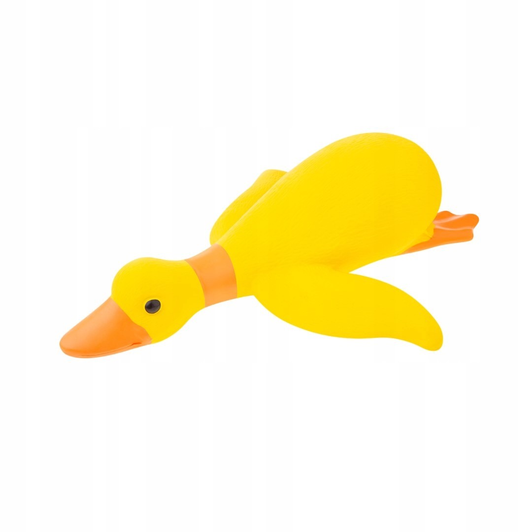 Droll Duck