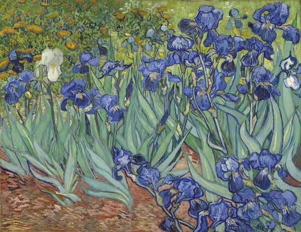 Gogh, Vincent van Gogh, Vincent van - Obrazová reprodukce Irises, 1889, (40 x 30 cm)