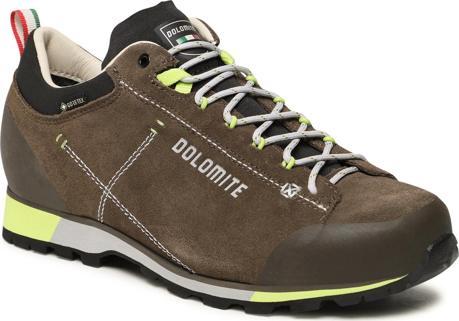 Trekingová obuv Dolomite 54 Hike Low Evo M Gtx GORE-TEX 289208 Mud Green/Green