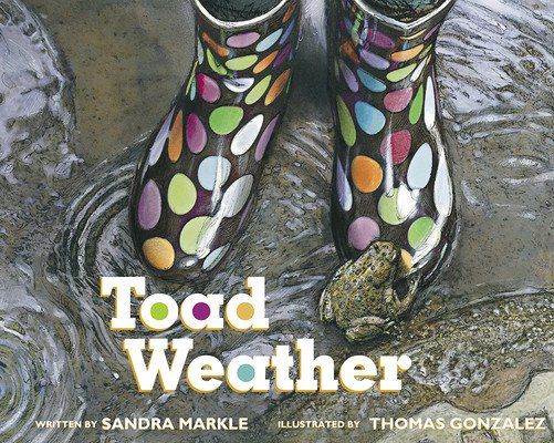 Toad Weather (Markle Sandra)(Paperback)