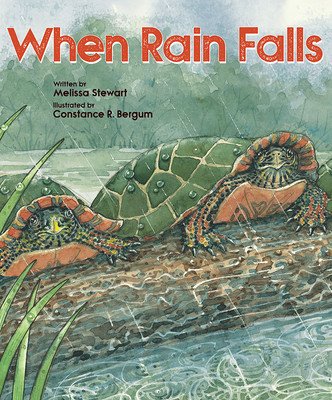 When Rain Falls (Stewart Melissa)(Paperback)