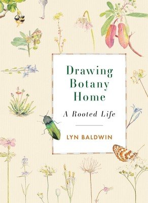 Drawing Botany Home: A Rooted Life (Baldwin Lyn)(Paperback)