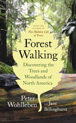 Forest Walking: Discovering the Trees and Woodlands of North America (Wohlleben Peter)(Paperback)