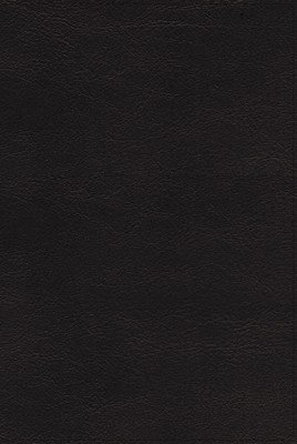 Nrsvue, Holy Bible, Leathersoft, Black, Comfort Print (Zondervan)(Imitation Leather)
