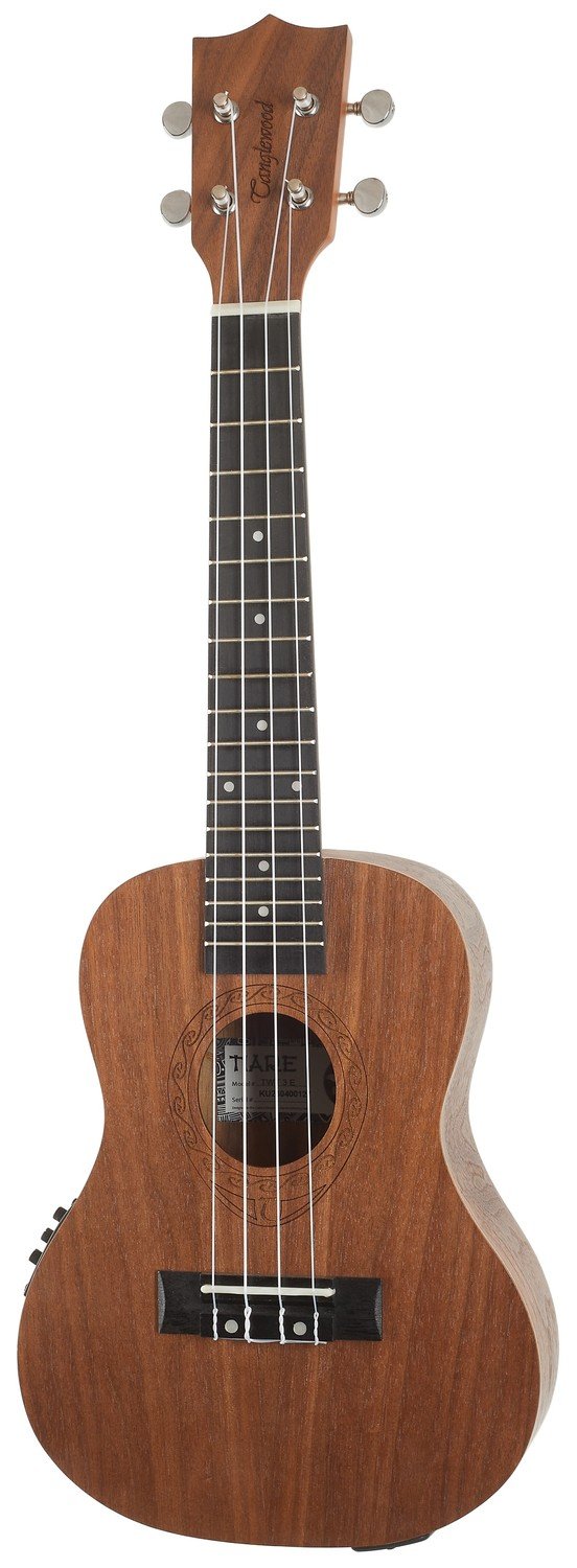 Tanglewood TWT 3 E