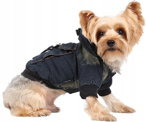 DoggyDolly Džínová bunda s kapucí pro psa S