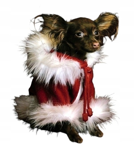Grande Finale Oblečení Santa Claus pro psa Xs